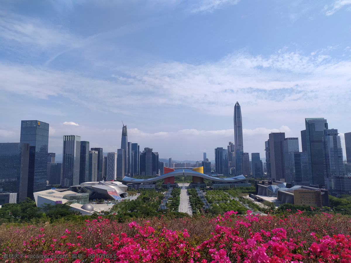 深圳 福田 cbd 深圳市民中心 平安大廈 深圳中心區(qū) 高樓大廈 深圳地標(biāo) 蓮花山 深圳cbd 勒杜鵑 旅游攝影 國內(nèi)旅游