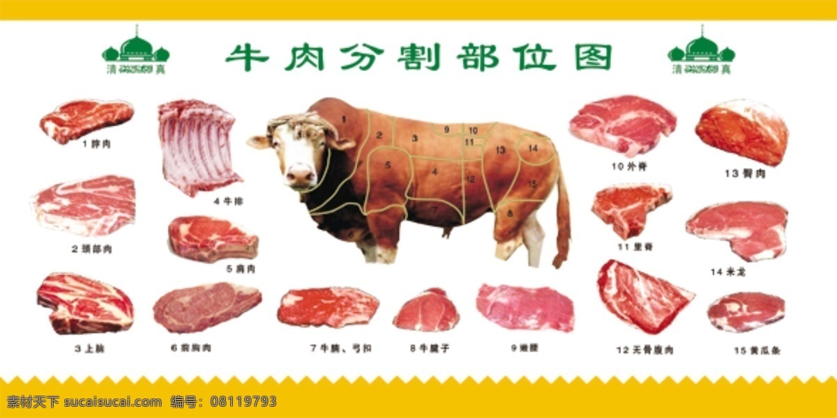 牛肉分割圖 牛肉 分割 清真 后腿肉