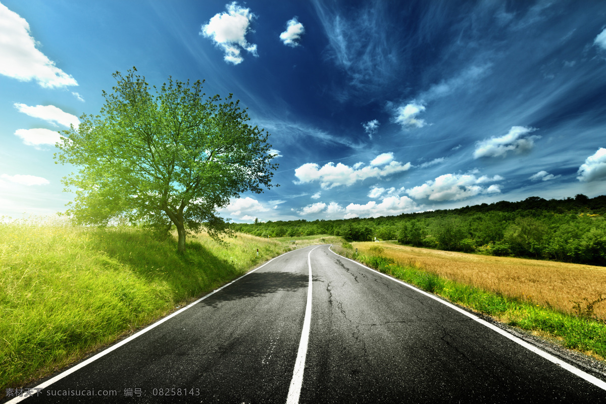 藍(lán)天 白云 下 馬路 道路 公路 自然風(fēng)景 樹木 鄉(xiāng)間馬路 藍(lán)天白云 道路攝影 公路圖片 環(huán)境家居