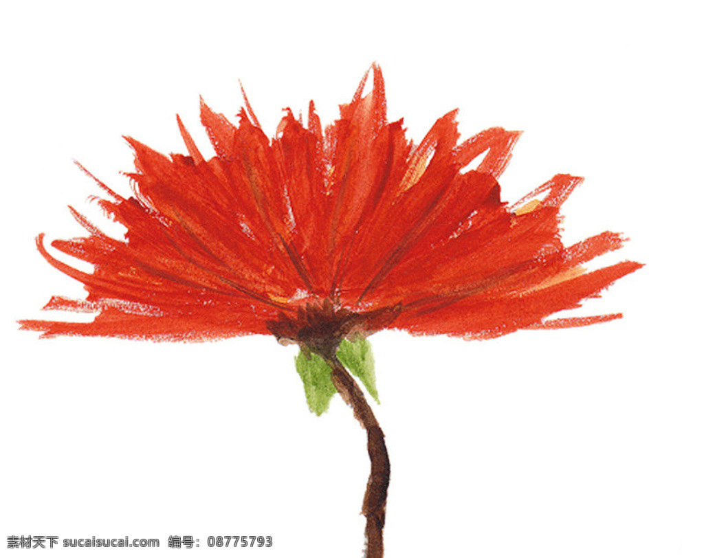 位圖 植物 寫(xiě)意花卉 花朵 免費(fèi)素材 面料圖庫(kù) 服裝圖案 白色