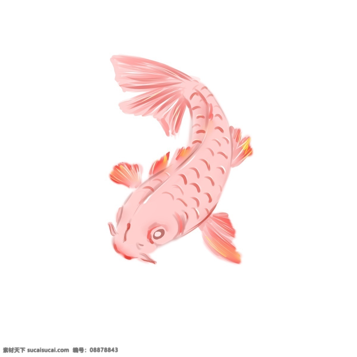 手绘 鲤鱼 好运 粉红 古风 元素 古风元素 手绘鲤鱼 粉红鲤鱼 鱼
