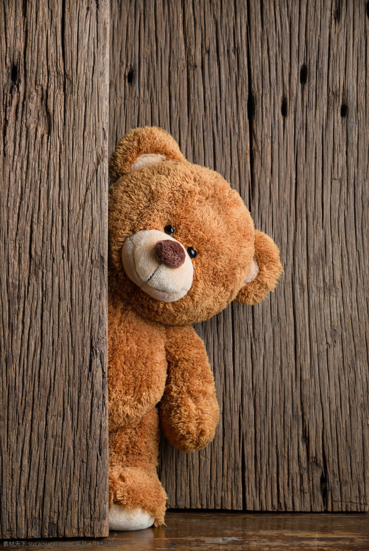 泰迪熊玩具 泰迪熊 玩具 熊 熊宝宝 玩具熊 可爱 毛茸茸