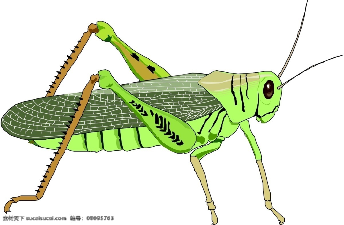3d 昆蟲 蝴蝶 昆蟲矢量圖 生物 世界 矢量 矢量圖 其他矢量圖