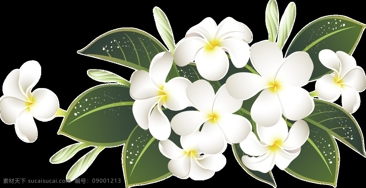 美丽 淡雅 白色 花束 透明 花朵 黄色 绿叶 免扣素材 透明素材 植物 装饰图片