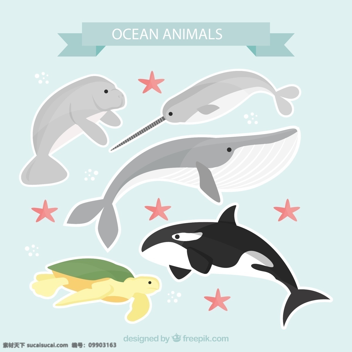 创意 海洋 动物图片 海象 鲸鱼 海龟 鲨鱼 儒艮 源文件 矢量 高清图片