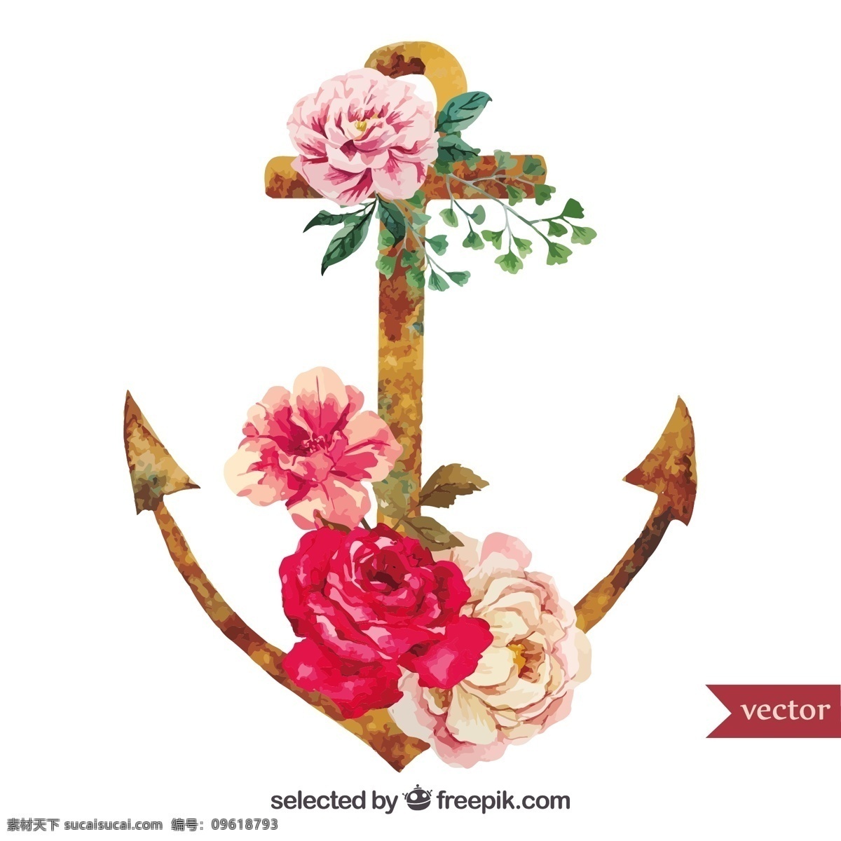 花的水彩畫(huà) 復(fù)古 花 水彩畫(huà) 油漆 錨 航海 老式花 海洋 水彩 手繪 生銹 白色