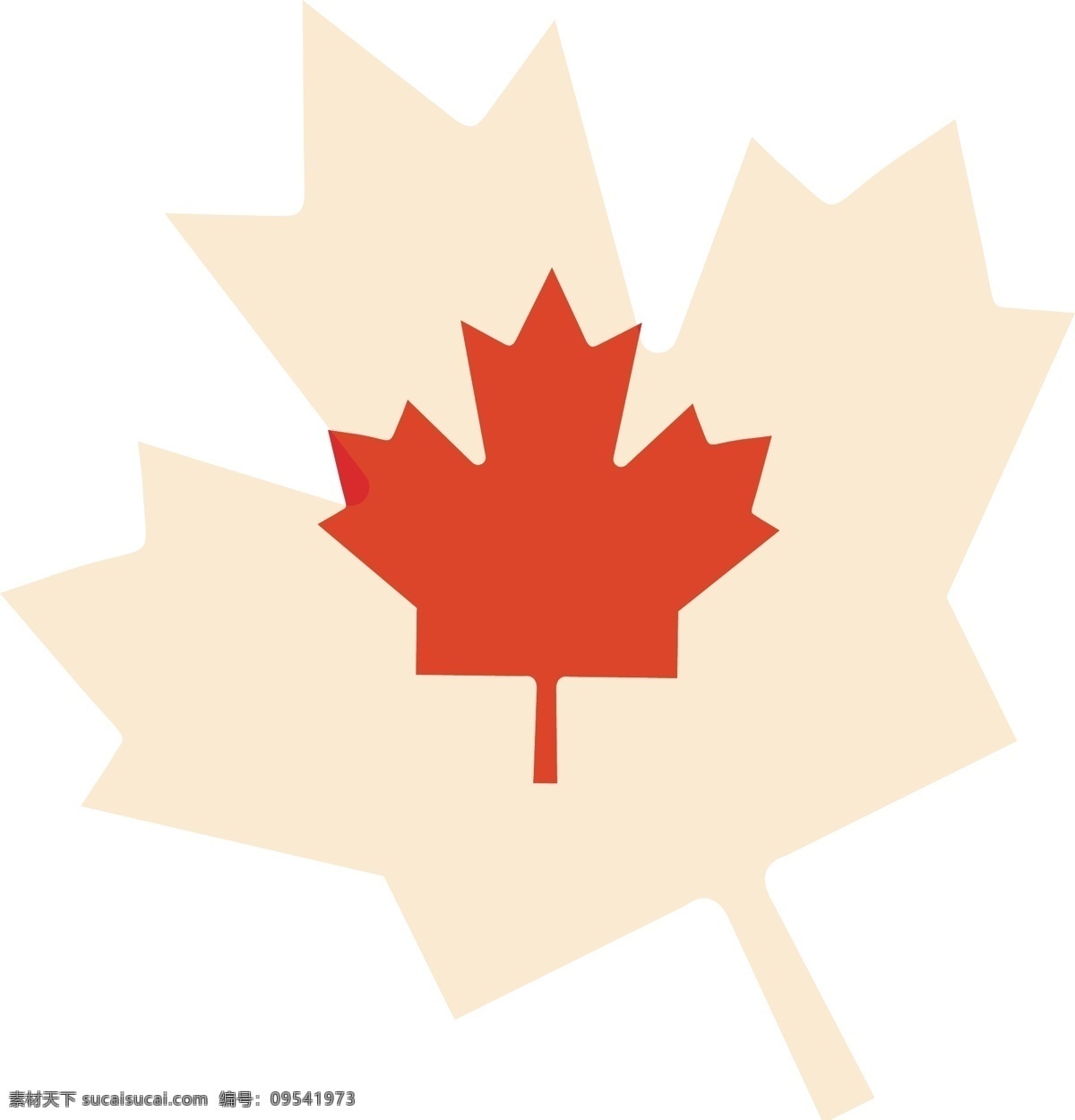 加拿大枫叶 枫叶矢量图 红叶 树叶 叶子 红叶矢量图 作品