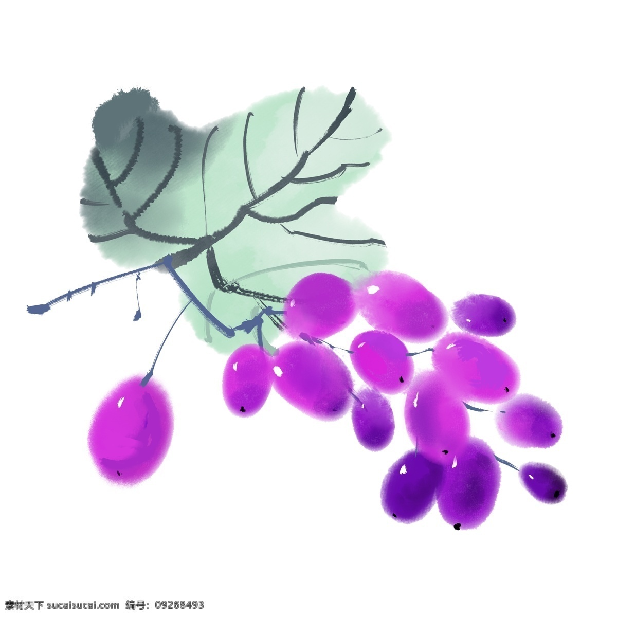 中国 风 水墨 彩绘 水果 静物 葡萄