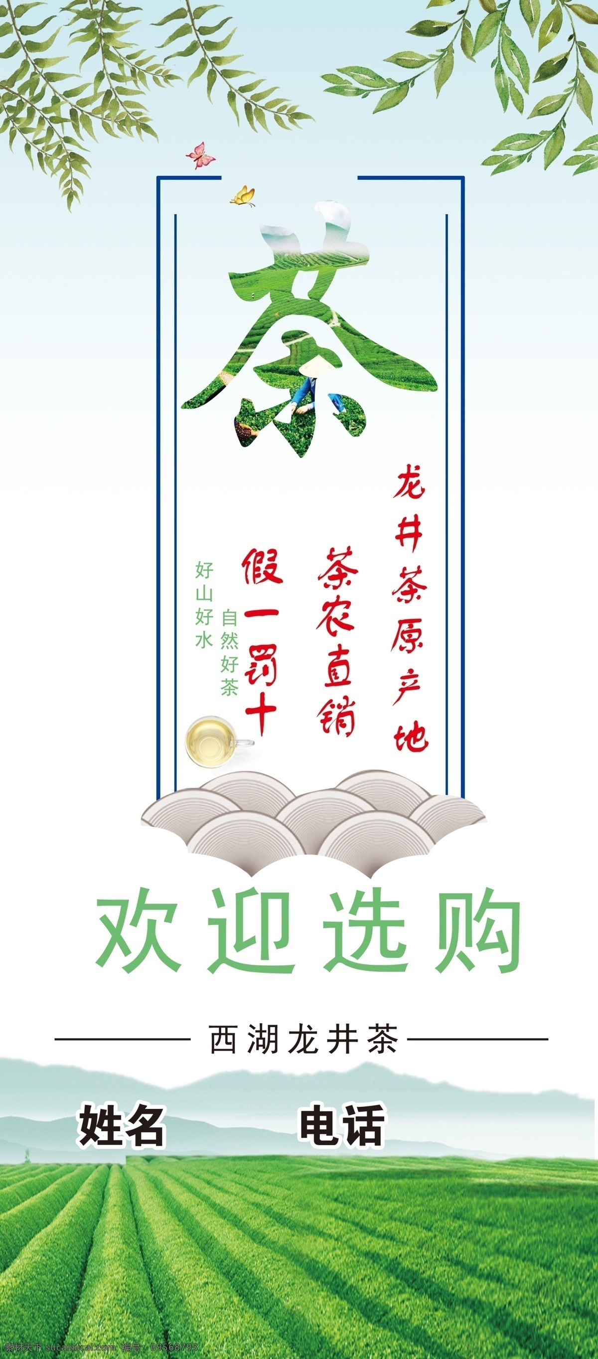 龍井茶 茶園 田園 茶展架 分層