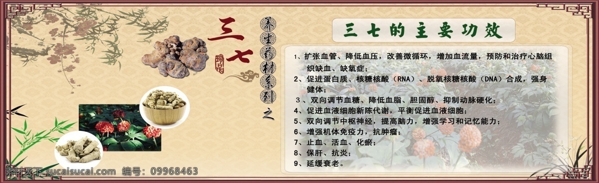 三七的功效 三七圖 竹子 背景 擴(kuò)張血管 降低血壓 分層