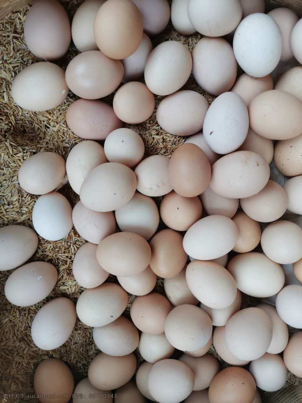 乡下土鸡蛋 乡下 土特产 鸡蛋 美味 吃食 生活素材 生活百科
