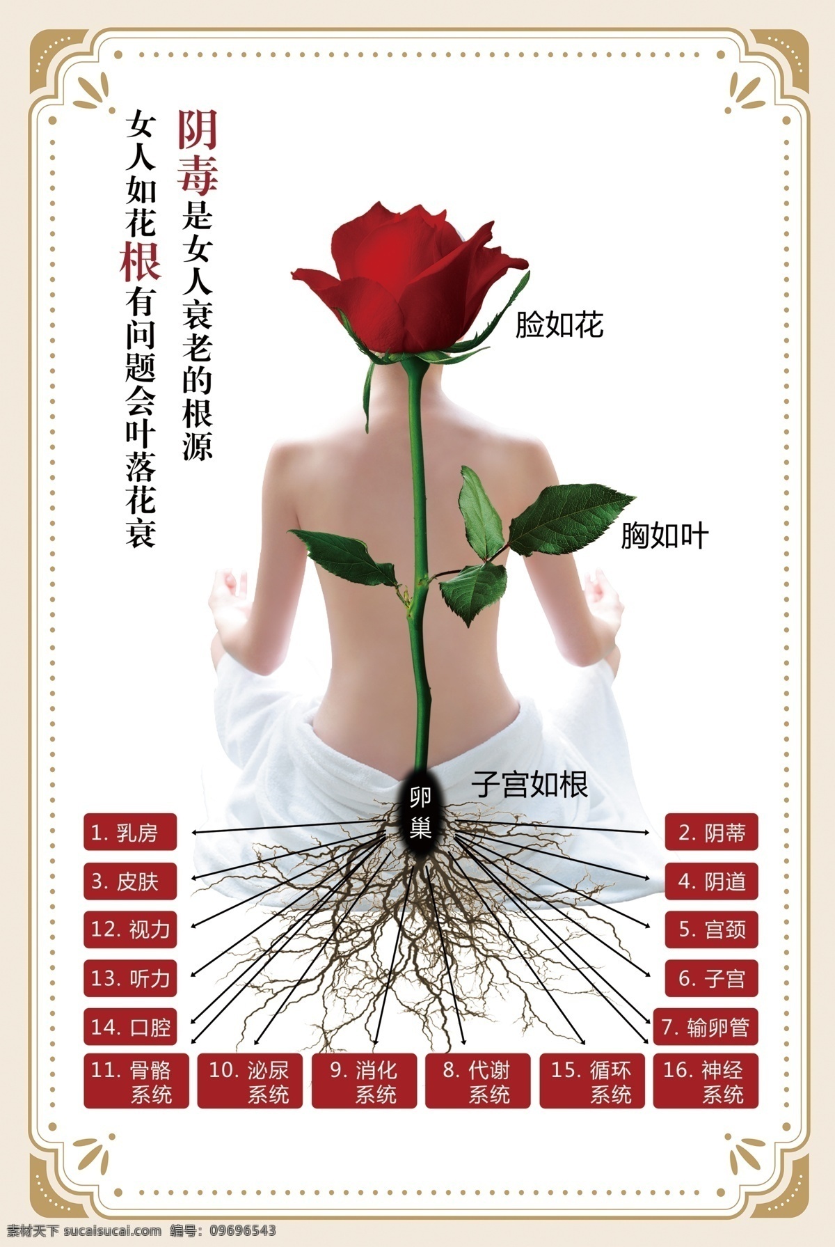 女人如花 臉如花 胸如葉 子宮如根 卵巢保養(yǎng) 生活百科 分層