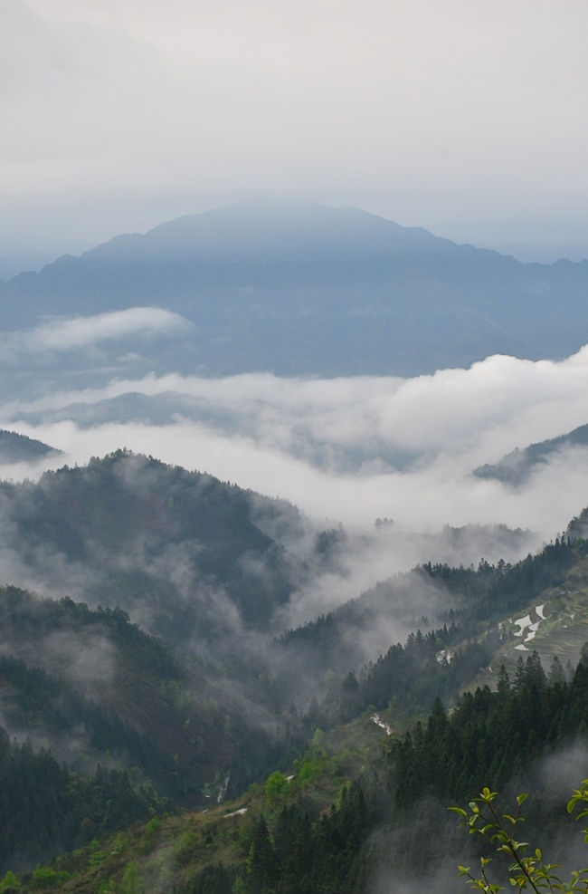 云霧 繚繞 山脈 間 自然風(fēng)光 自然 旅游 山水 霧 風(fēng)光 河流 戶外 藍(lán)天 中國 風(fēng)景 自然景觀 山水風(fēng)景