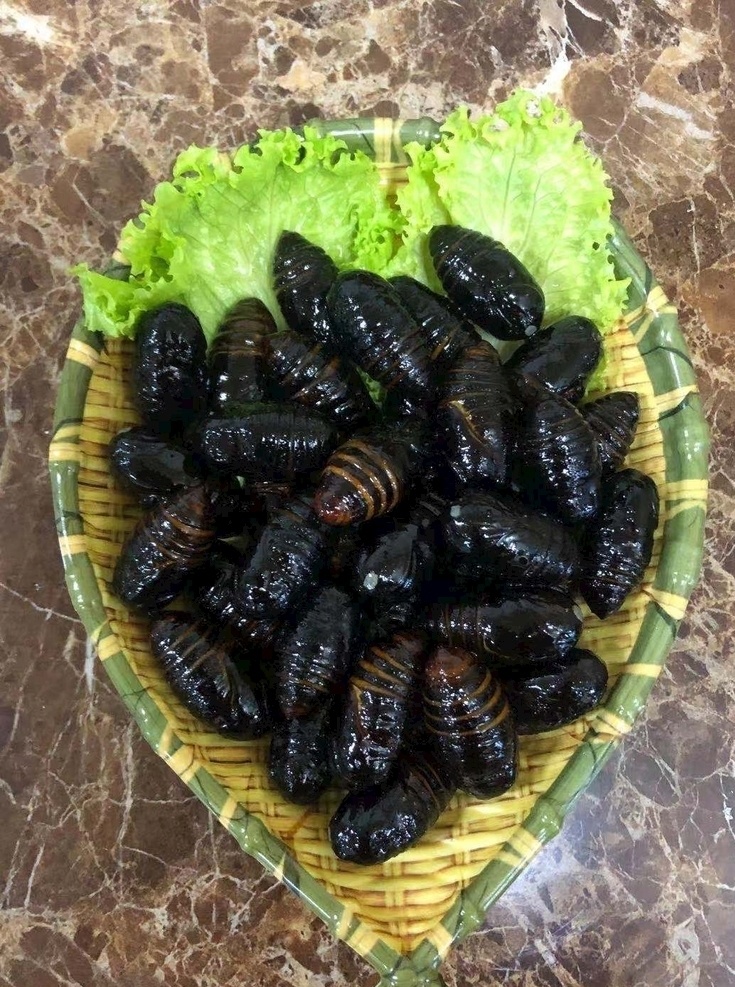 蠶蛹 繭蛹圖片 繭蛹 菜譜 燈箱片 菜單燈片 燈片菜譜 菜譜寫真板 菜譜寫真 烤蠶蛹 烤串 肉串 羊肉串海報 肉串燒烤 餐飲美食