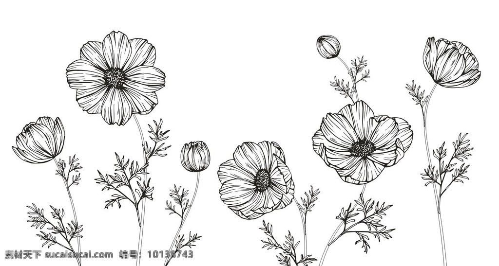 花卉 矢量 简 笔画 简笔画 黑白 花朵 生物世界 花草