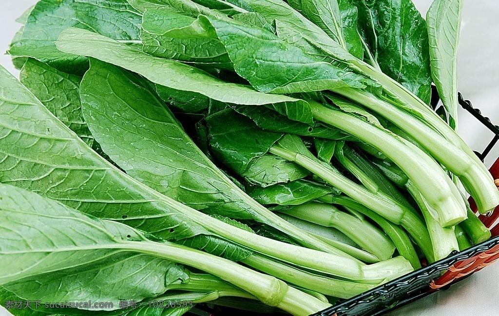 火鍋 配菜 廣東 菜心 炒菜 家常菜 特色菜 熱菜 美食 美味 八大菜系 湯羹 菜譜 菜名 小炒 炒飯 燒菜 涼菜 菜肴 佳肴 小吃 鍋?zhàn)?燒烤 油炸 紅燒 爆炒 清蒸 油燜 海鮮 刺身 主食 副食 米飯 面條 醬爆 點(diǎn)心 火鍋配料 火鍋蘸料 火鍋蘸醬 火鍋配菜 火鍋肥牛 餐飲美食 傳統(tǒng)美食