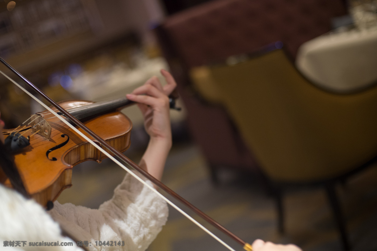 拉提琴 小提琴 音乐 提琴 乐器 音乐会 演奏 点歌 拉琴 送歌 生日会 音乐厅 演奏家 提琴手 手 动植物 人物图库 职业人物