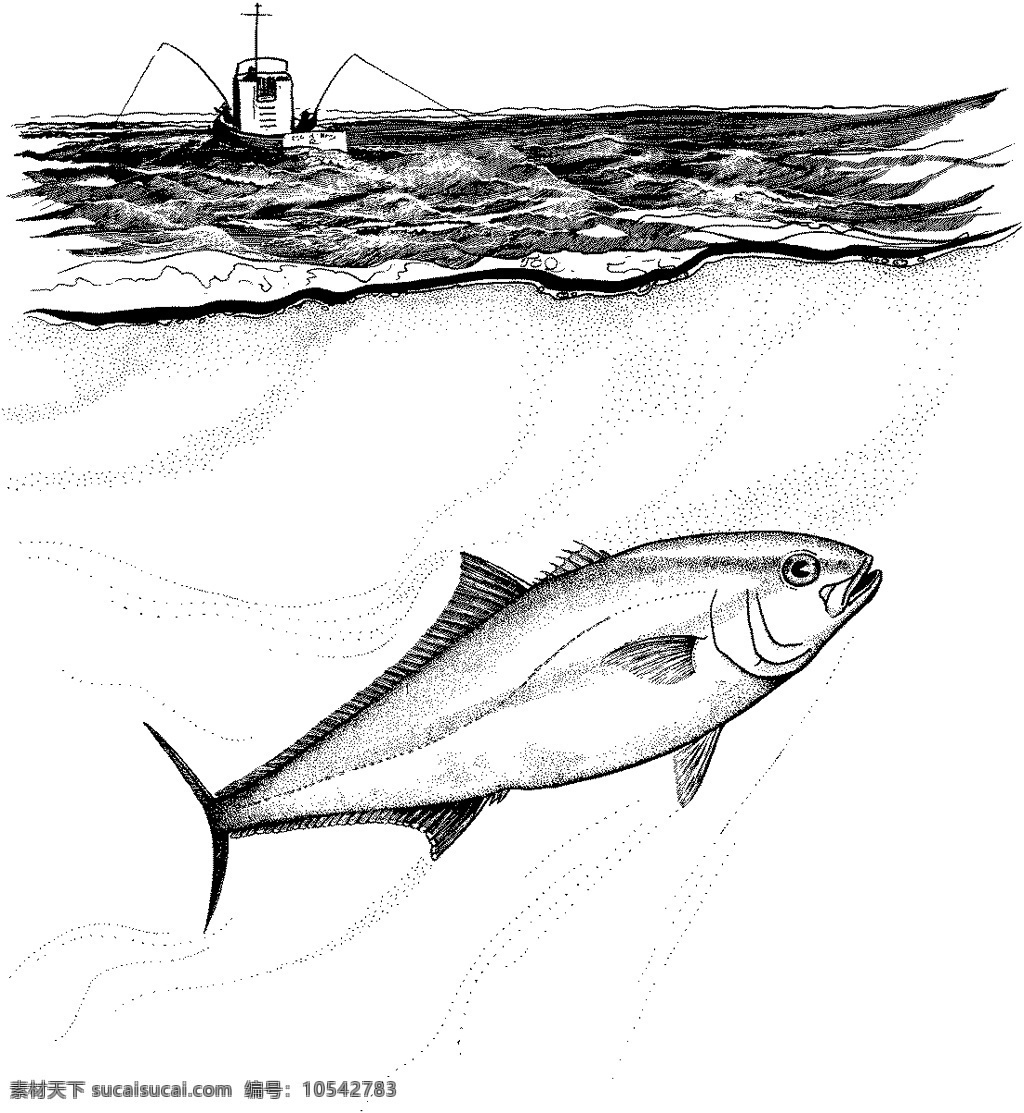 魚 水中動(dòng)物 動(dòng)物素描 設(shè)計(jì)素材 動(dòng)物專輯 素描速寫 書畫美術(shù) 白色