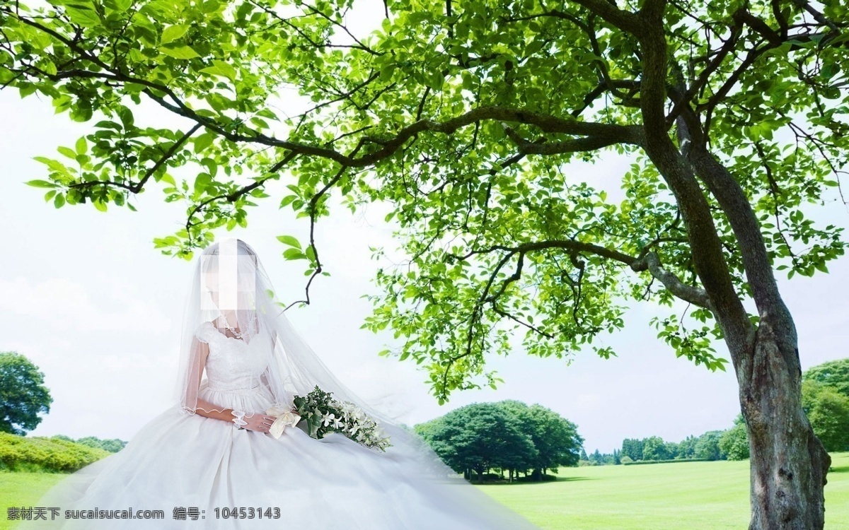 树下 新娘 人物 分层 婚纱 草坪
