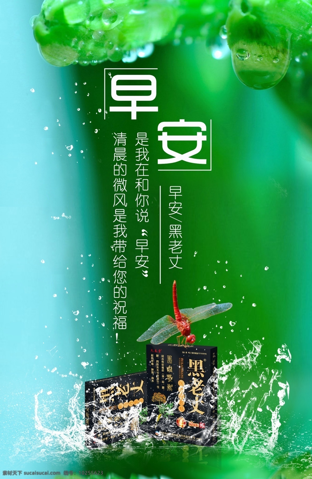 早安 水纹 膏贴 绿色背景海报 蜻蜓
