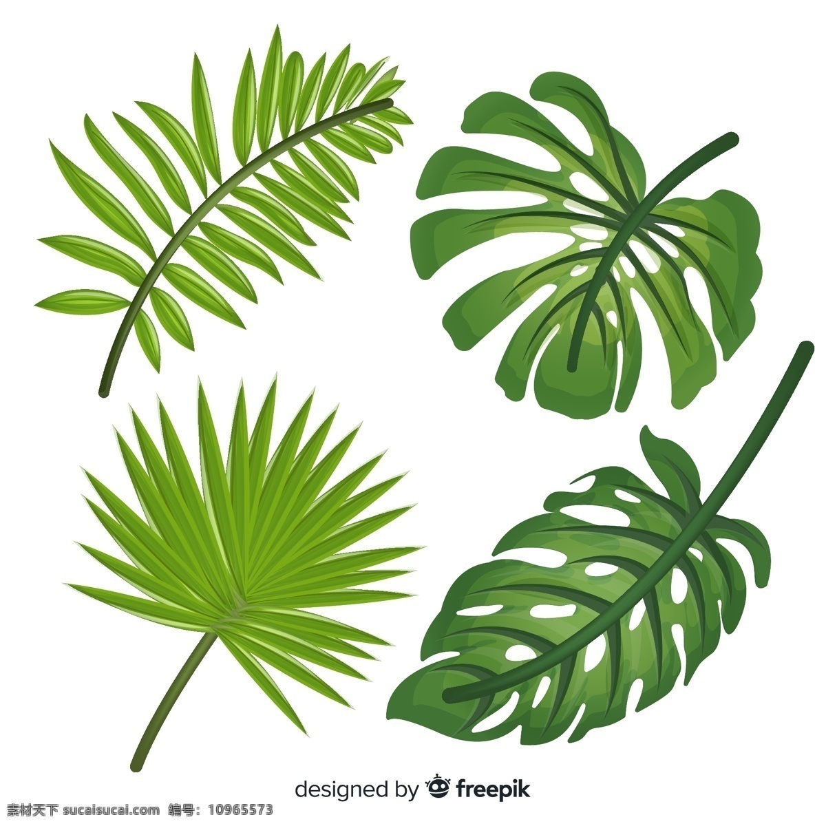 绿色 热带 植物 叶子 棕榈树叶 龟背竹叶 逼真 矢量 高清图片