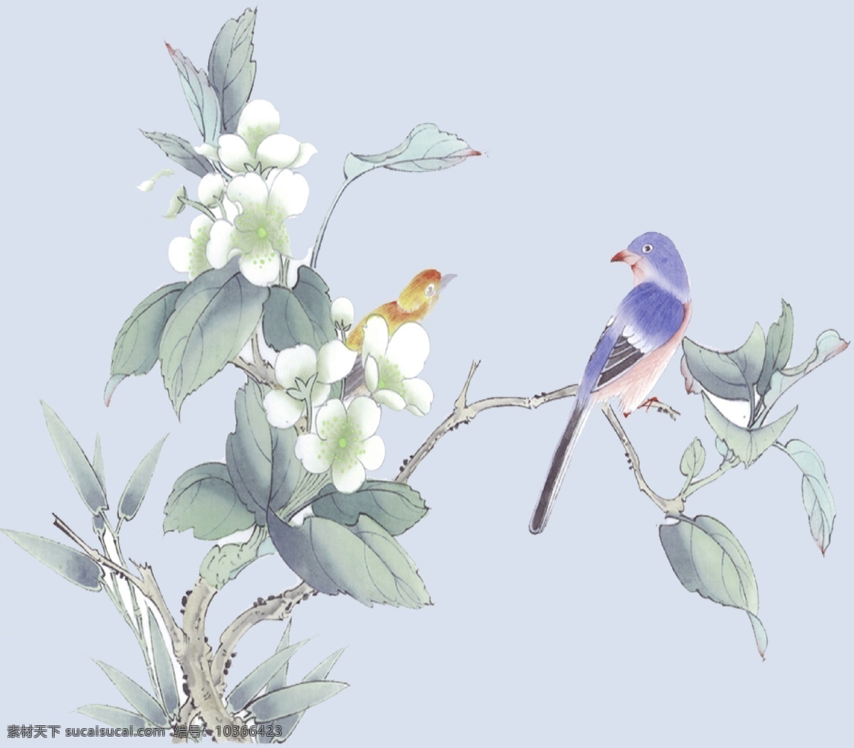 花鳥 素材圖片 綠葉 小鳥 碎花 花鳥圖 白花 素材花 分層
