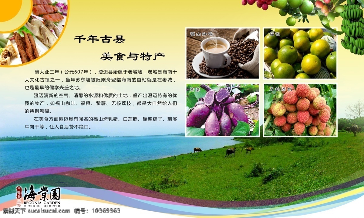 廣告設(shè)計(jì)模板 果樹 咖啡 荔枝 美味美食 水果 特產(chǎn) 美食 展板 模板下載 美食特產(chǎn)展板 福橙 紫薯 源文件 展板模板 其他展板設(shè)計(jì)