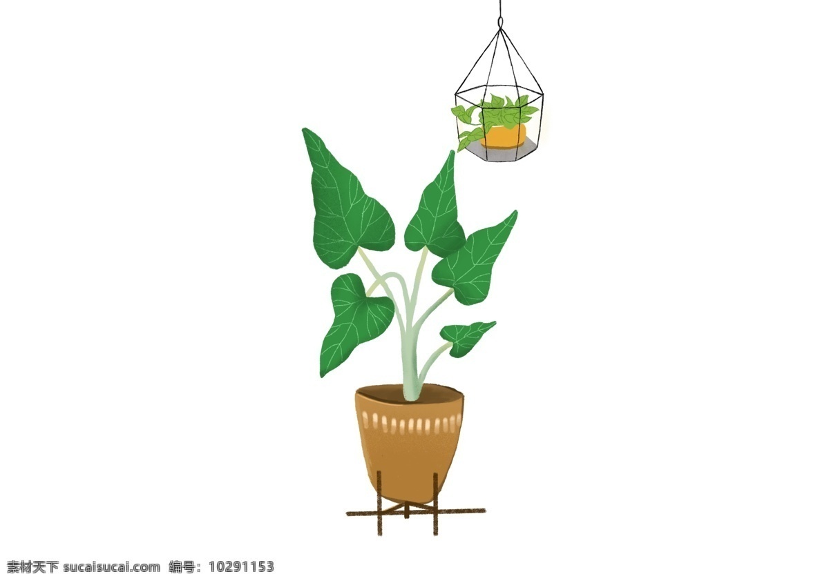 2019 年 清新 绿色 室内装饰 植物 插画 室内 悬挂