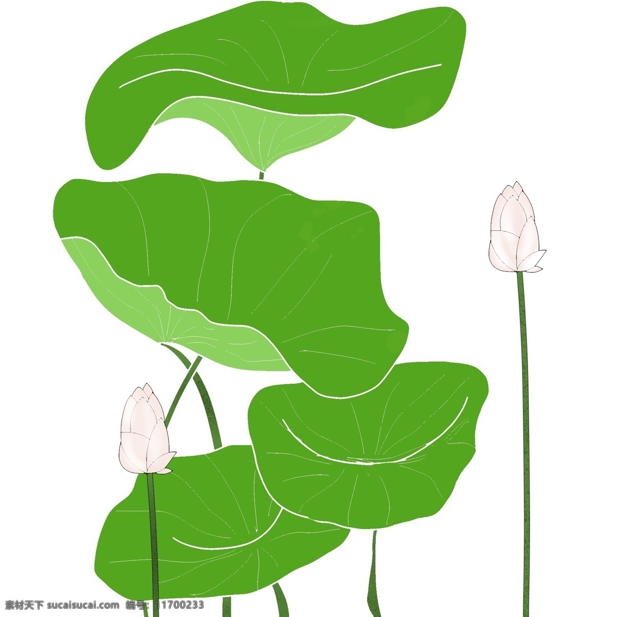原創(chuàng) 荷葉 荷花 植物 手繪 風(fēng) 簡(jiǎn)約 小 清新 元素 圖 綠色 綠意 花朵 小清新 簡(jiǎn)單