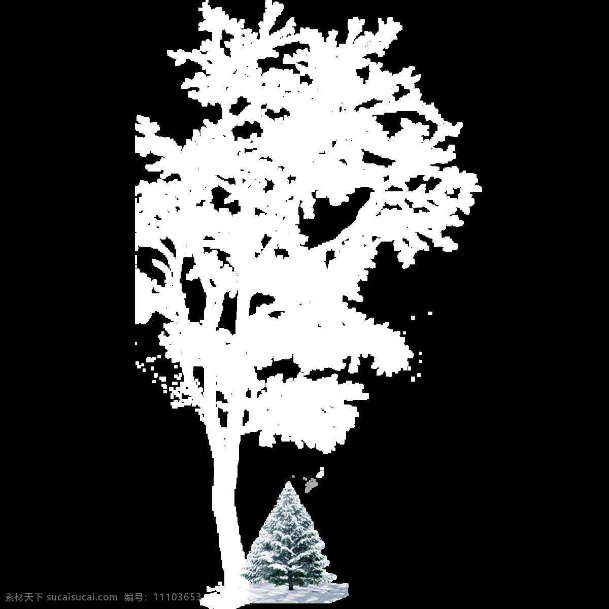 棵 冬季 雪松 元素 寒冬 綠色 樹木 植物 裝飾