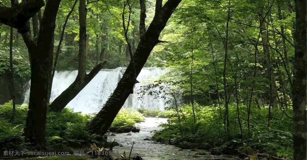 美麗自然風(fēng)光 大自然 山脈 河流 自然風(fēng)景 視頻 城市視頻 宣傳片 影視 山河 樹木 水流 多媒體 實拍視頻 城市風(fēng)光 mov