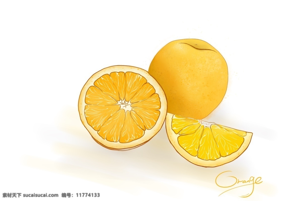 手绘橘子图片 水果 橘子 手绘 水彩 黄色 文化艺术 绘画书法