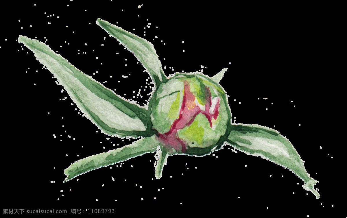 綠 枝 花心 透明 裝飾 花朵 免扣素材 透明素材 植物 裝飾圖案