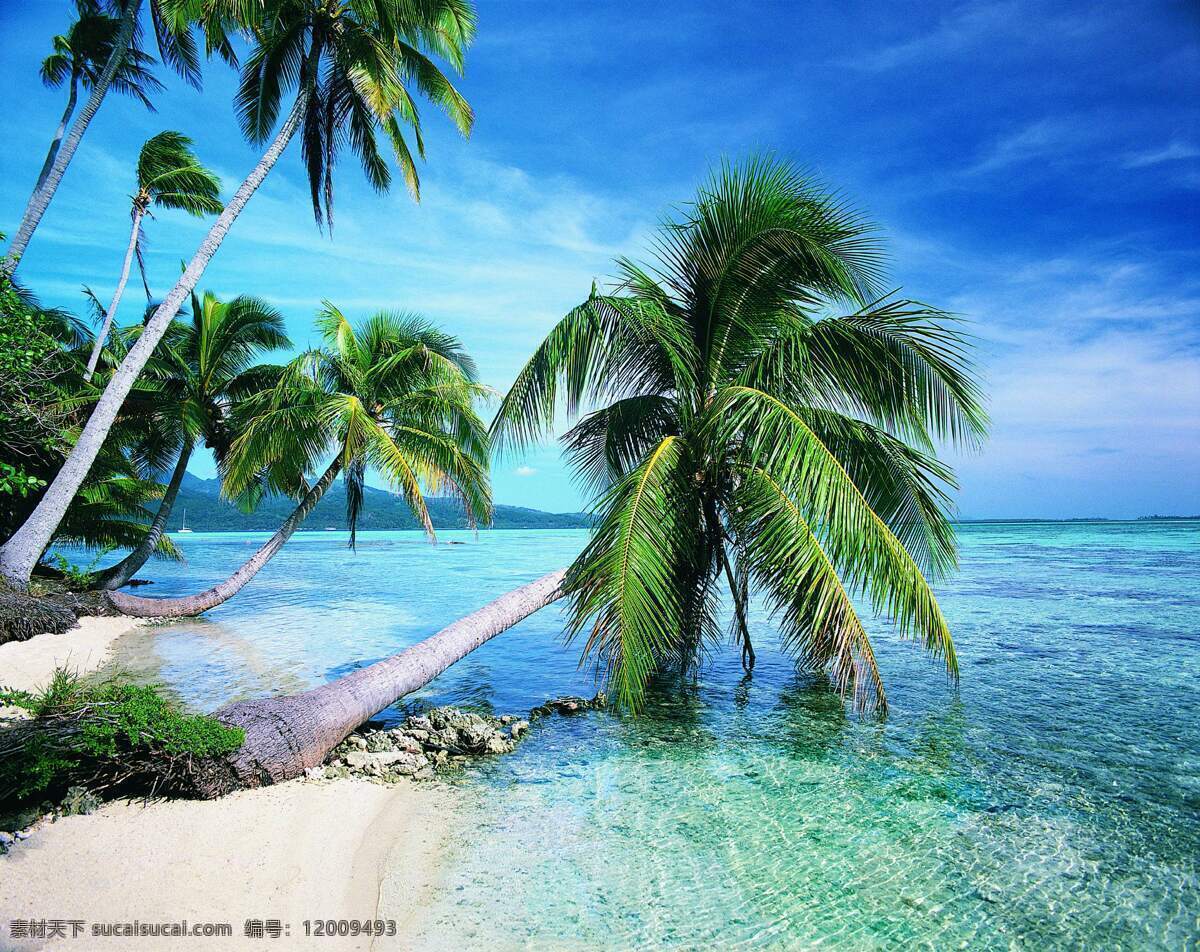 美丽 海边 风景图片 海岸线 海滩 沙滩 海岛 度假小屋 度假海滩 椰树林 椰林 海风 洁白的沙滩 度假沙滩 沙滩椅 海水 美丽的大海 蔚蓝的大海 海浪 浪花 美丽风景 风景线 自然风景 山水 田园 自然景观