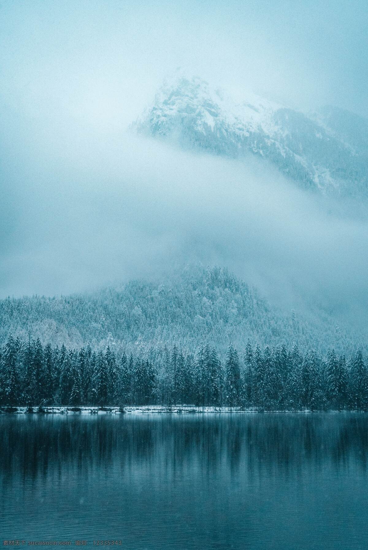 冬季 森林 雪山 自然生态 背景 自然 生态 清新