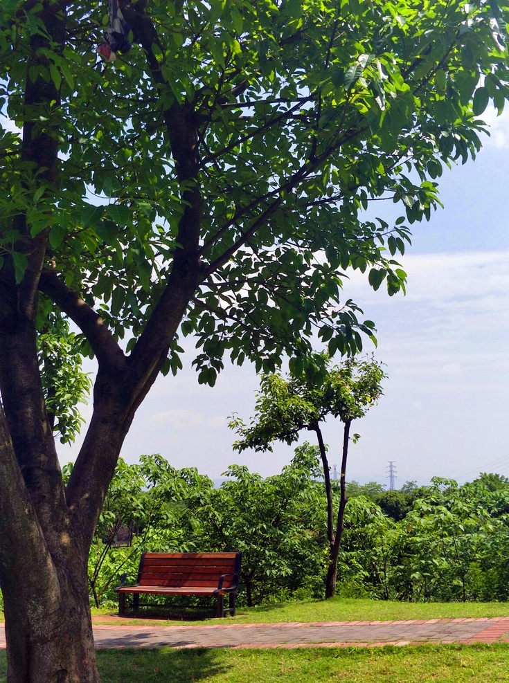 公園風景 建筑 園林美景 園林風景 綠化景觀 植物 園林景觀 天空 藍天 自然景觀 自然風景