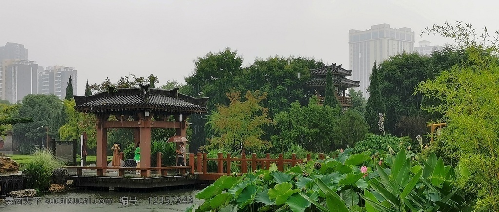 園林景觀圖片 池塘亭子荷花 園林素材 園林景觀 園林設(shè)計(jì) 園林綠化 建筑園林 園林建筑