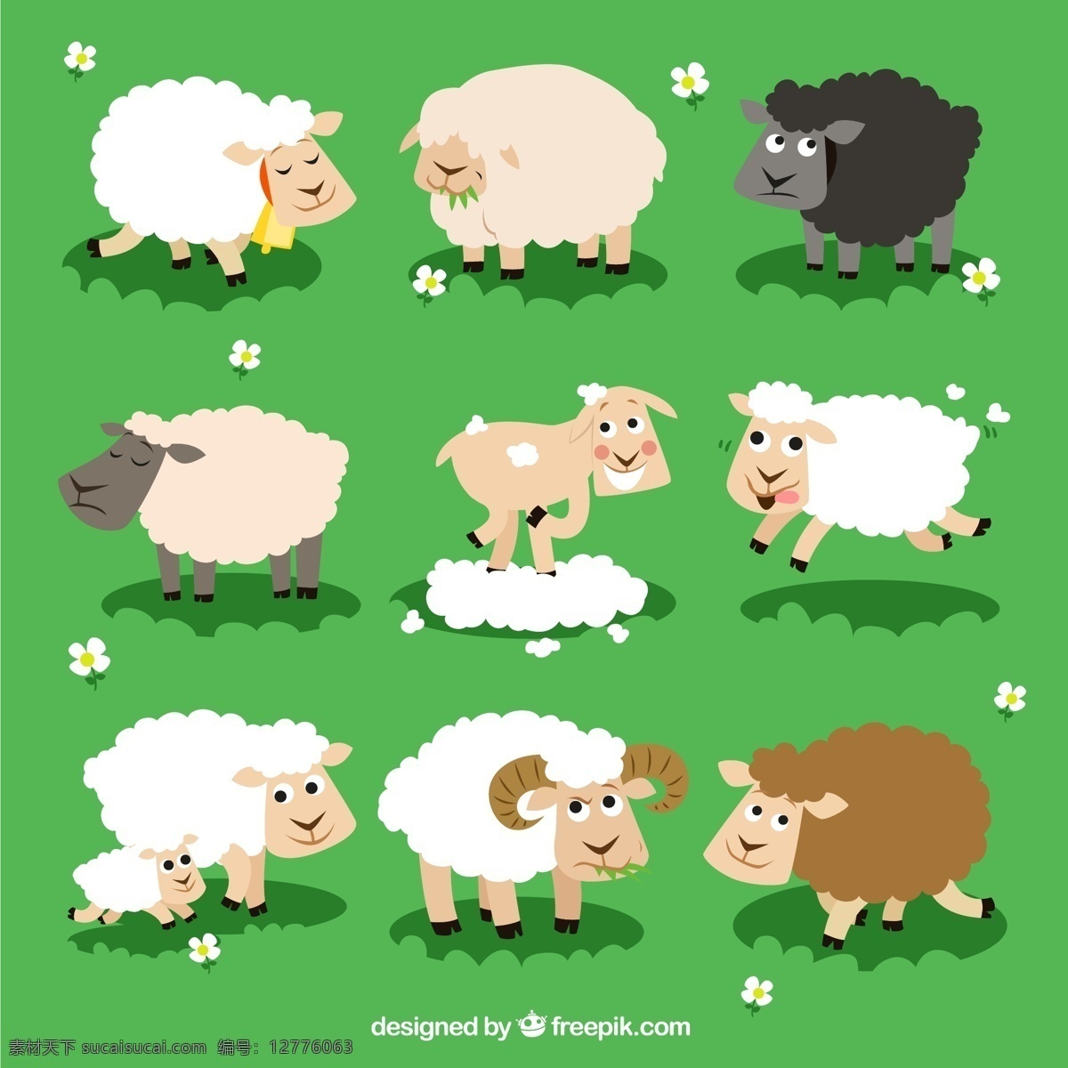 卡通 绵羊 矢量 牧场 草地 剪羊毛 吃草 家畜 高清图片