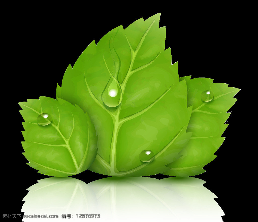 卡通 绿色 鲜嫩 叶子 元素 png元素 绿叶 免抠元素 树木 透明素材 植物