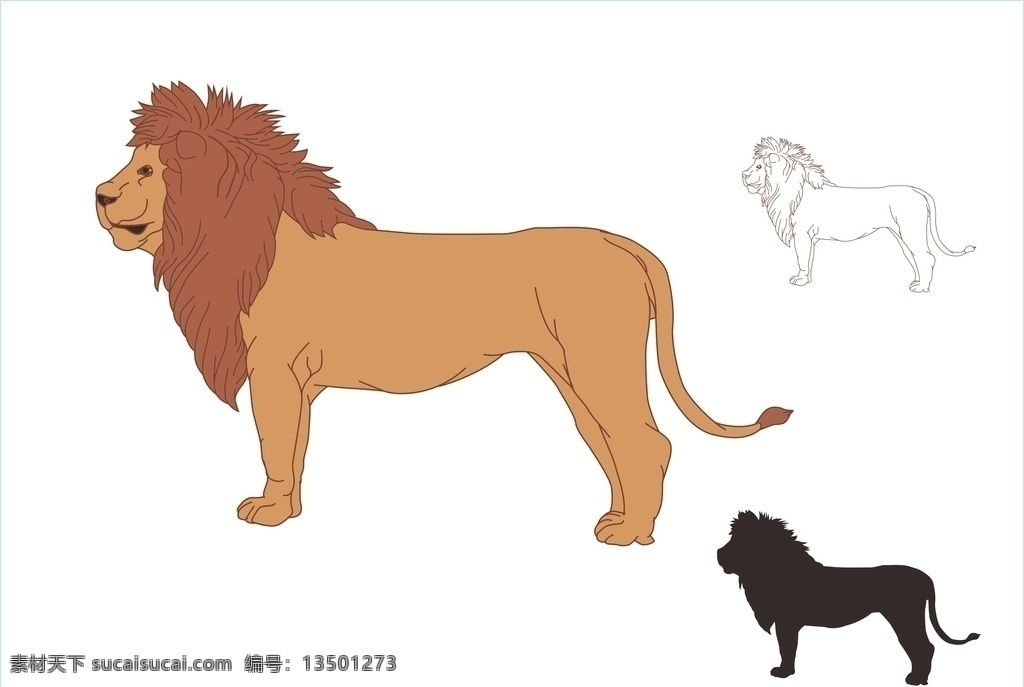 非洲雄狮 狮子 雄狮 非洲 动物 野生动物 哺乳类动物 草原之王 猛兽 矢量图 生物世界