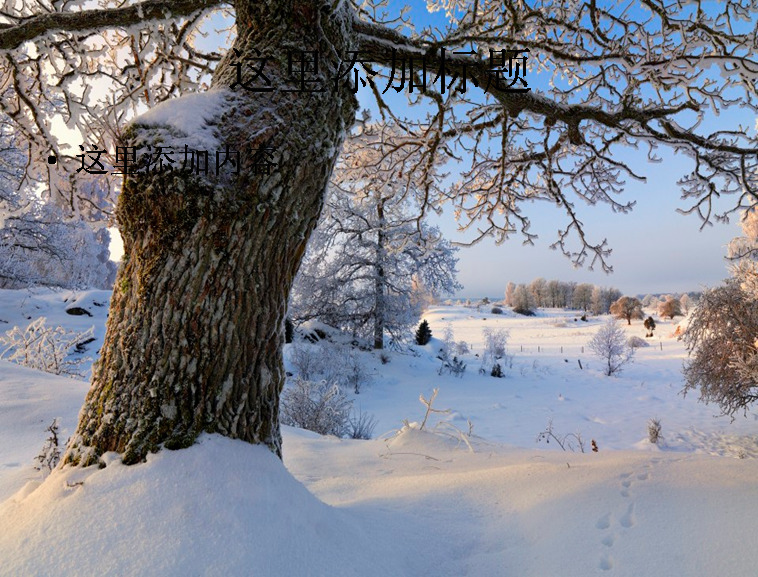 唯美 高清 雪景 桌面 风景 风光 景色 自然风景 模板