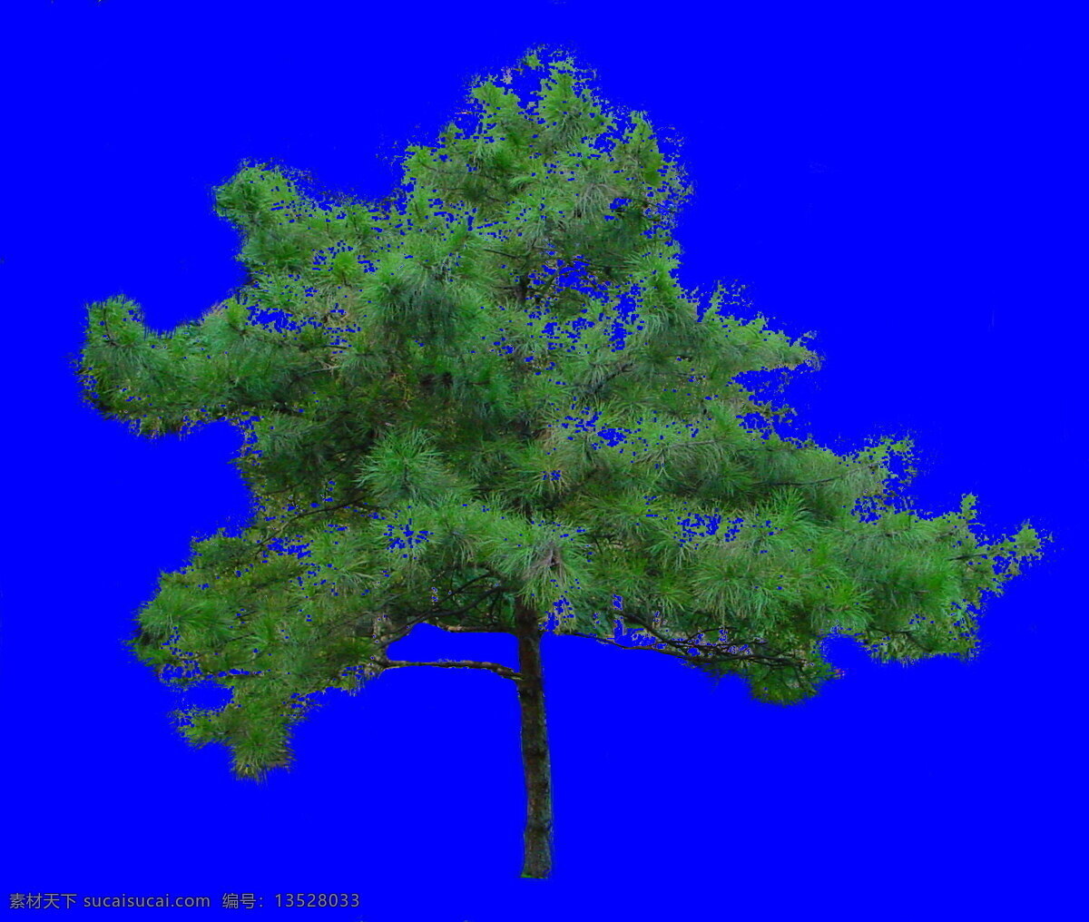 植物 貼圖素材 jpg1091 設(shè)計(jì)素材 建筑裝飾 藍(lán)色