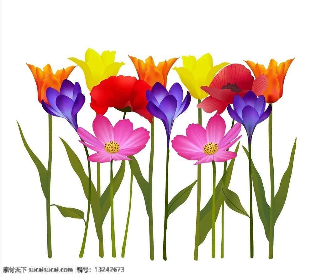 五颜六色 鲜花 插图 花卉 多彩 矢量插图 花瓣 矢量