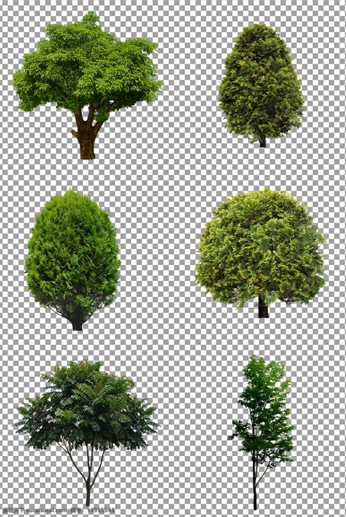 茂盛 绿色 树木 大树 免抠 无背景 免抠图 抠图 元素 透明 通道 png免抠图 分层 花草人物