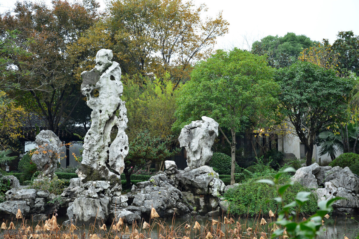 太湖石 園林造景 假山 奇石 中式園林 蘇州園林 拙政園 帶窟窿的石頭 攝影圖原創(chuàng) 建筑園林 園林建筑