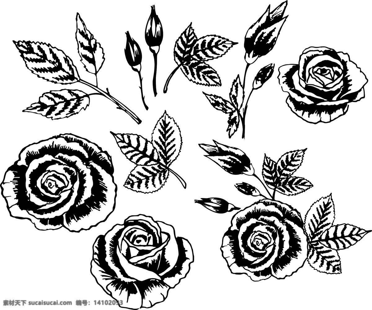 黑白 手绘 风 花朵 矢量素材 矢量图 设计素材 创意设计 素描 矢量 高清图片