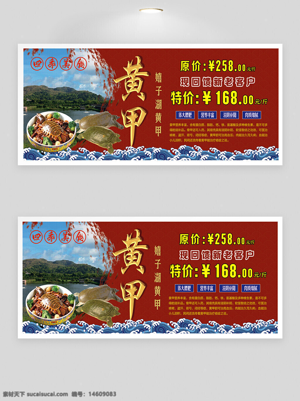 四季美食 黃甲甲魚 紅色背景 浪花元素 自然風(fēng)光