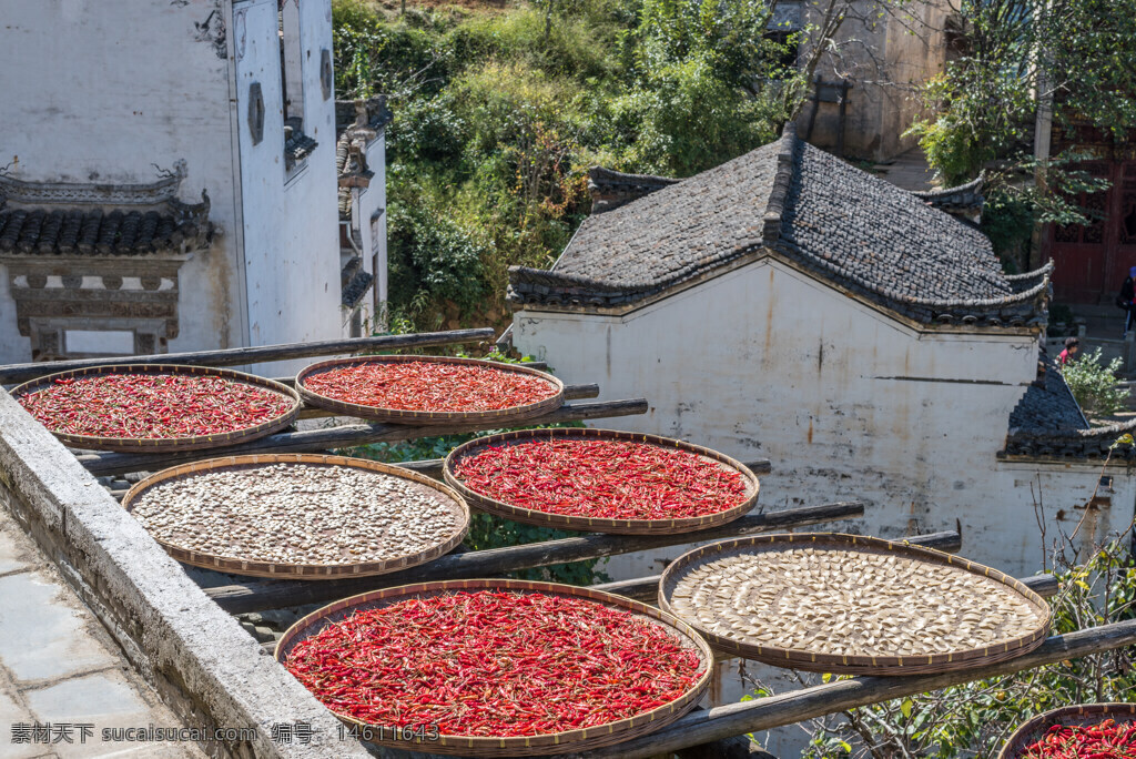 村落 竹匾 曬辣椒 紅色辣椒 秋收 傳統(tǒng)農(nóng)耕 自然風(fēng)景 鄉(xiāng)村生活 農(nóng)作物晾曬 田園風(fēng)光 古村落 民俗文化 農(nóng)村景色