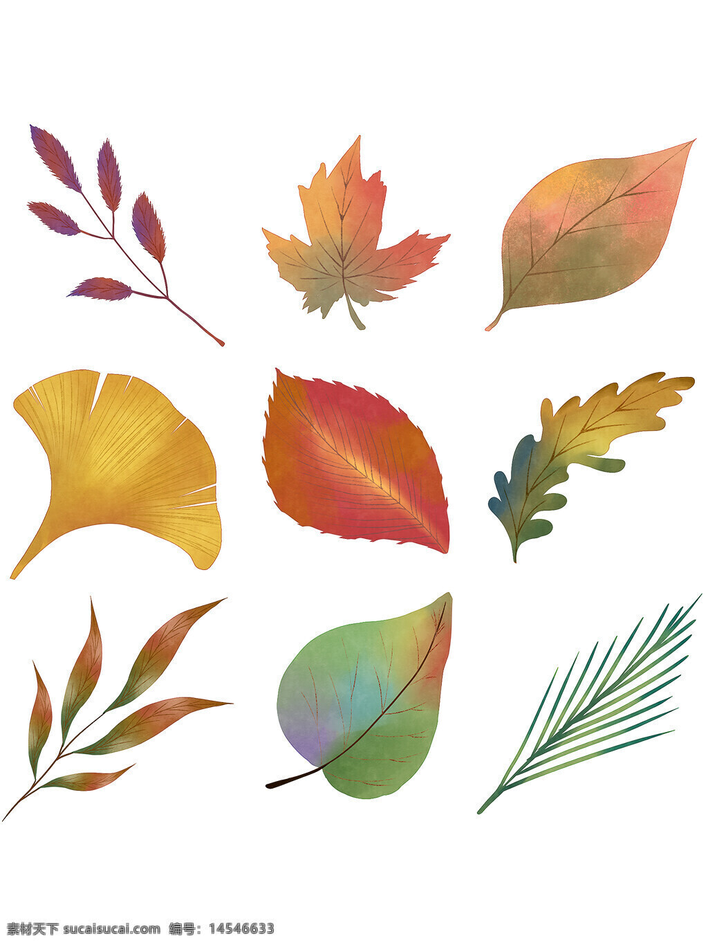 树叶 秋天 秋季 植物 树 叶子 秋天的 手绘 手绘元素