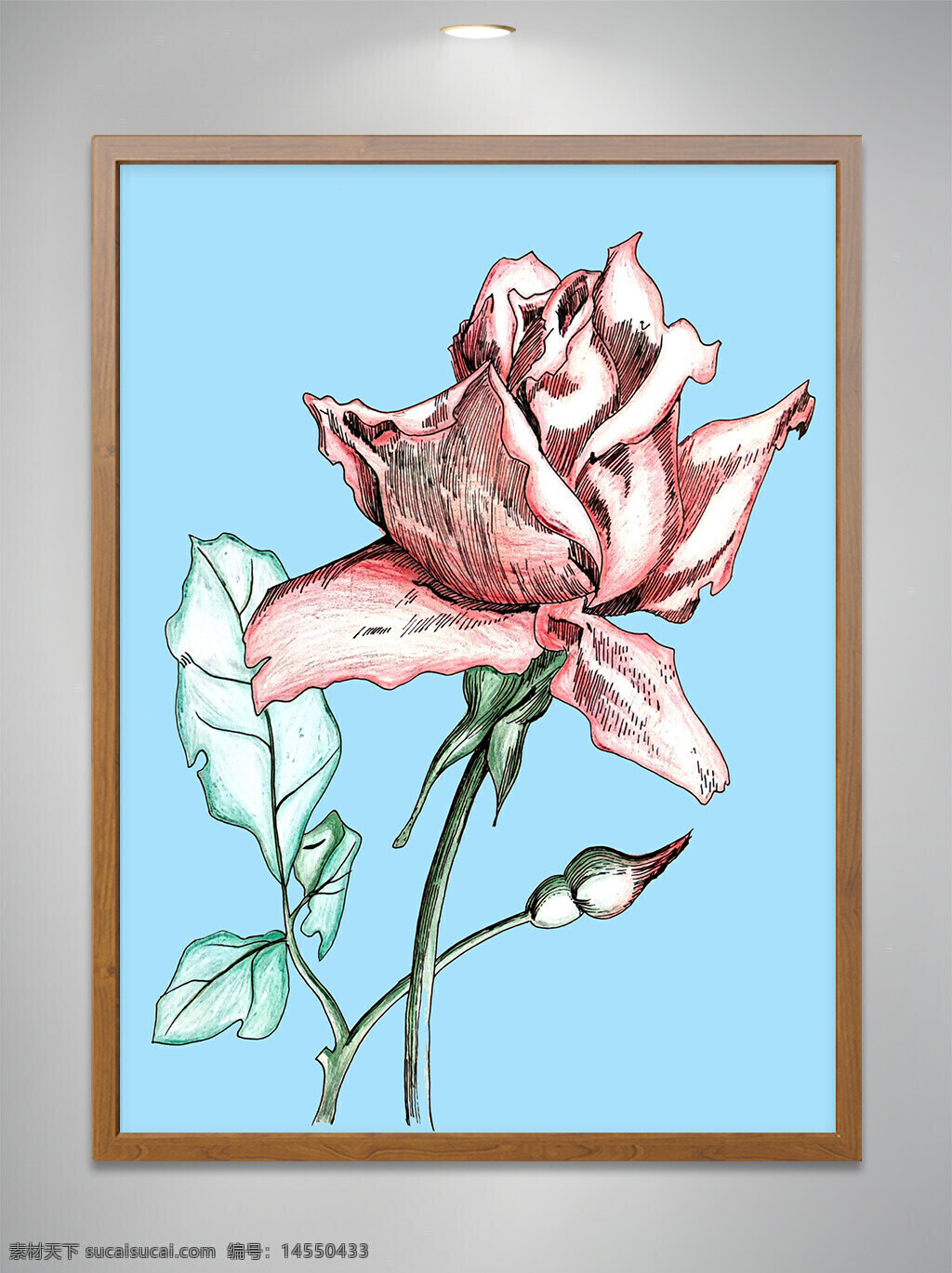 静物 玫瑰 彩铅手绘 植物花朵